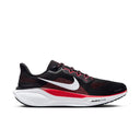 Men's Nike Pegasus 41