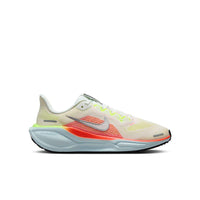 Youth Nike Pegasus 41