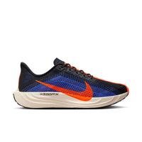 Men's Nike Pegasus Plus