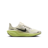 Youth Nike Pegasus 41