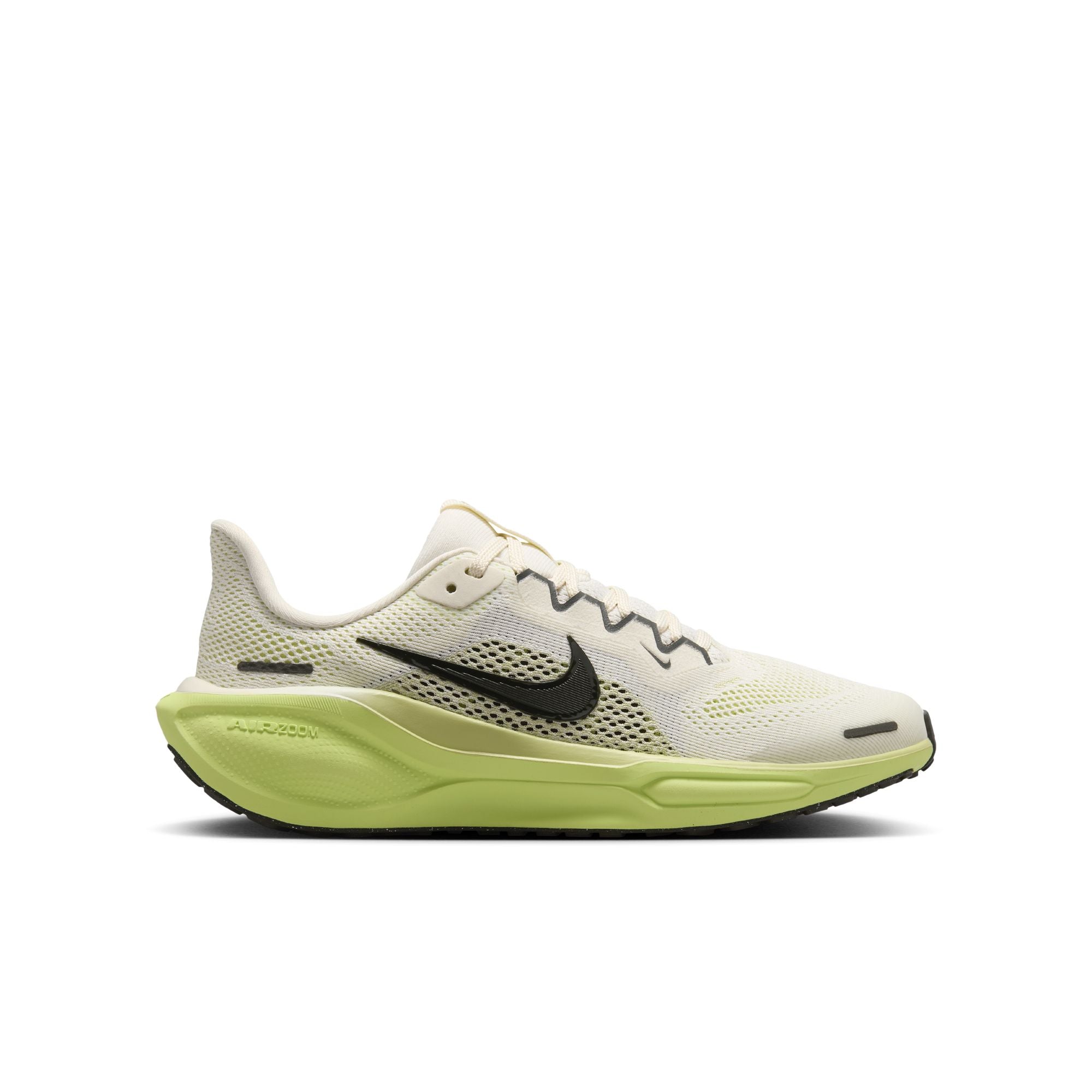 Youth Nike Pegasus 41